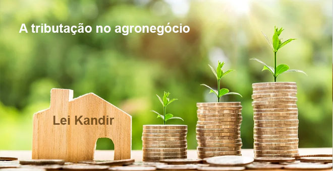 Especialista em marketing no agronegocio