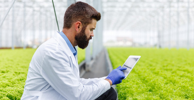 marketing de experiência no agronegócio