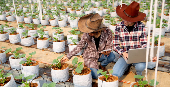 Especialista em marketing no agronegocio