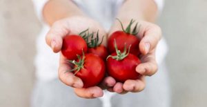 Leia mais sobre o artigo Benefícios do Tomate