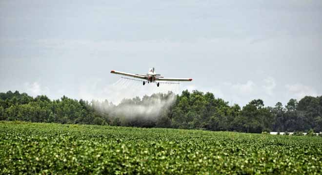 Agrotóxicos e o Agronegócio