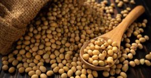Leia mais sobre o artigo O futuro do mercado da soja