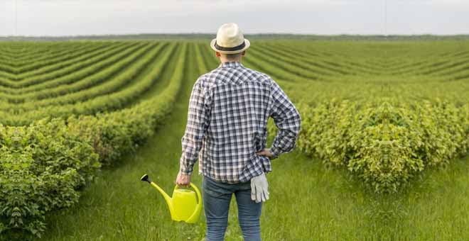 Especialista em marketing no agronegocio