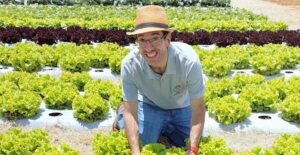 Leia mais sobre o artigo Assessoria de Imprensa especializada no agronegócio 